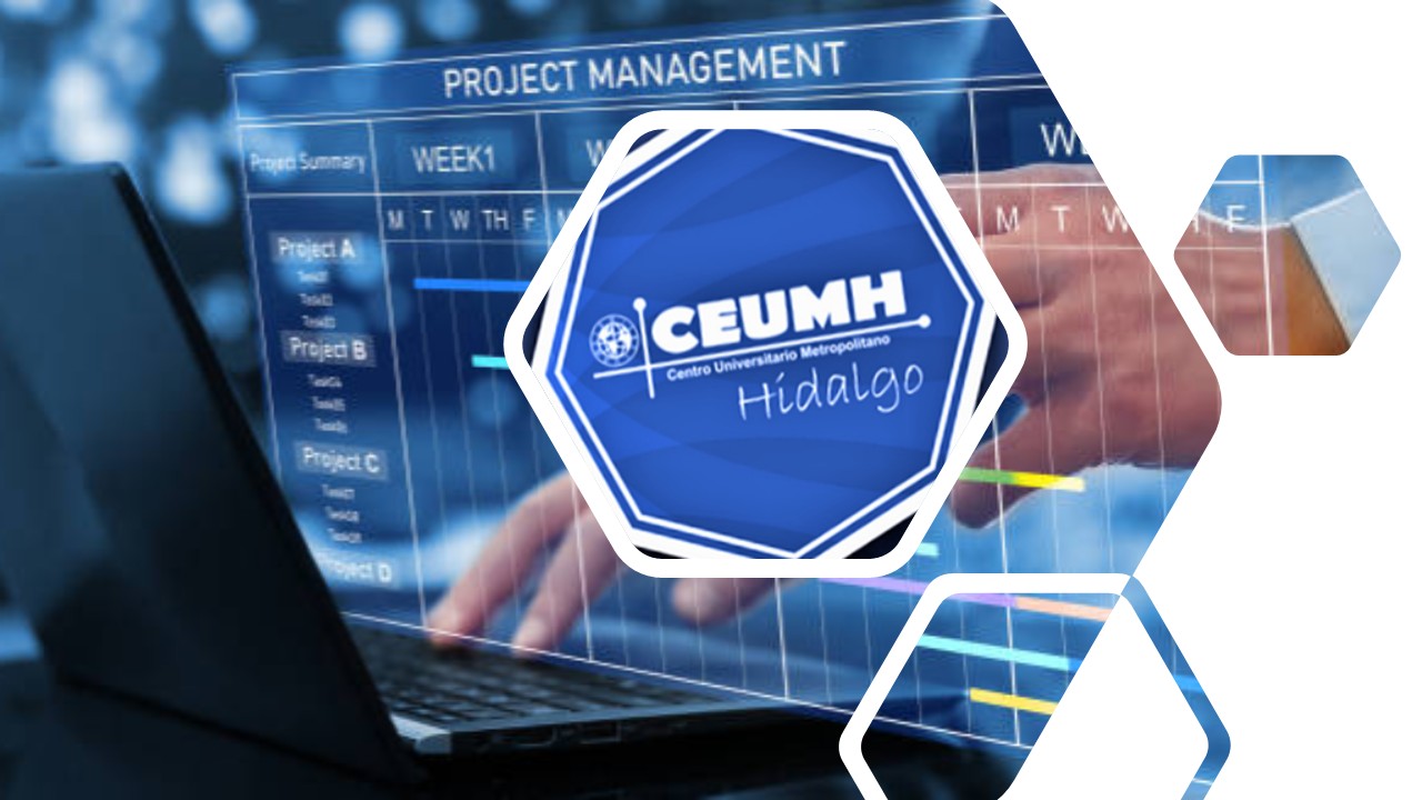 Course Image Proyecto Empresarial (Julio-Agosto-2025) Mixto