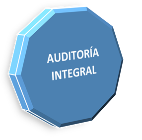 Course Image AUDITORIA INTEGRAL MX S-D2025