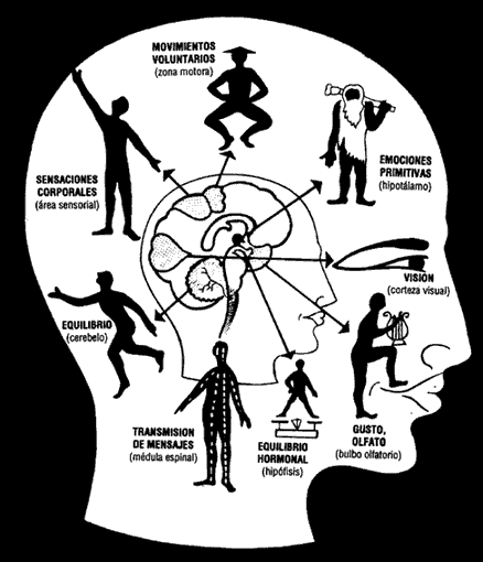 Course Image PSICOFISIOLOGÍA 