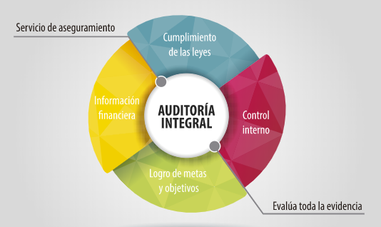 Course Image AUDITORIA INTEGRAL