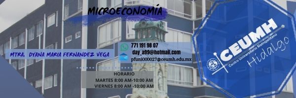 Course Image MICROECONOMÍA