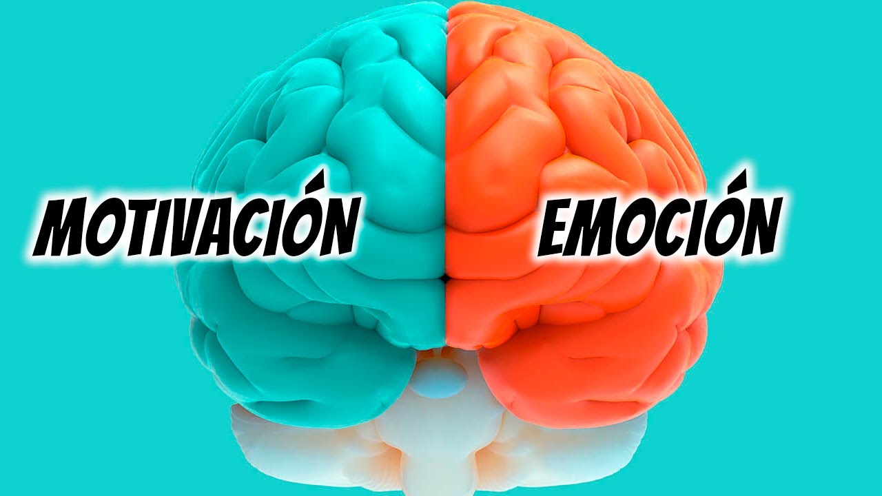 Course Image MOTIVACIÓN Y EMOCIÓN