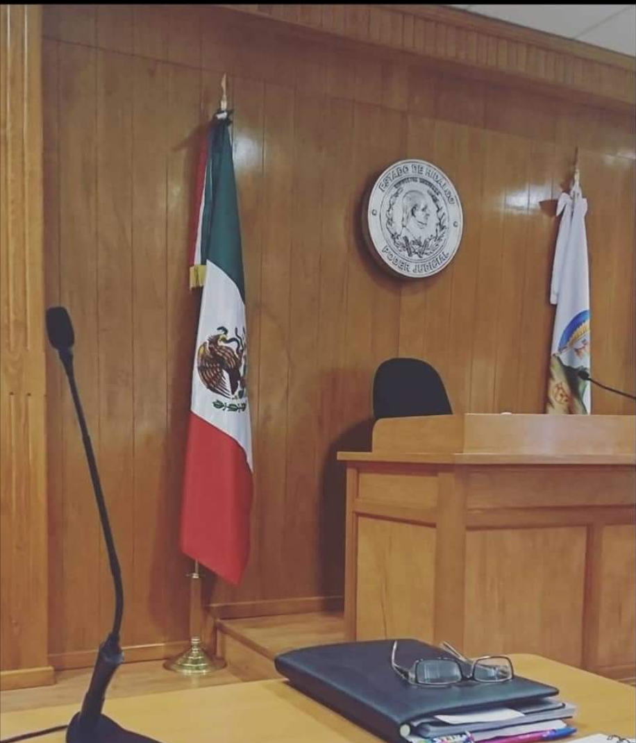 Course Image PROTOCOLO ACUSATORIO Y PROCESAL DEL JUICIO ORAL (MAY-AGO 2024)