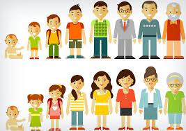 Course Image Desarrollo 2 