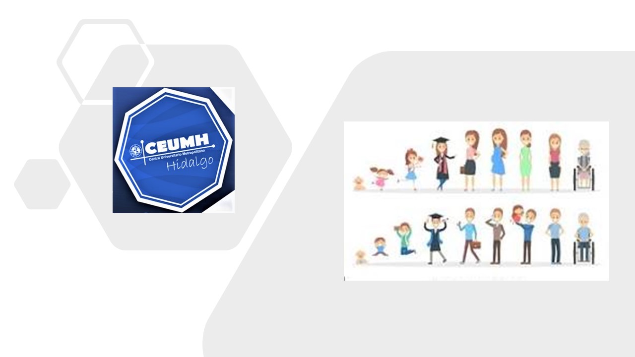 Course Image Taller de Desarrollo Humano (mayo-agosto-2024)